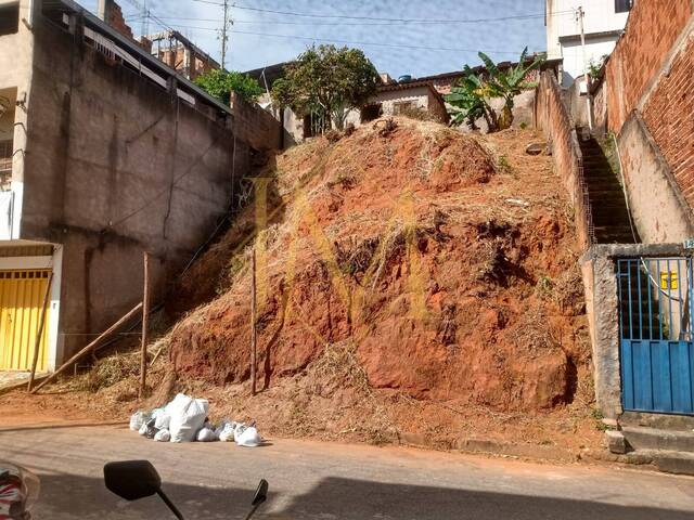 #595 - Área para Venda em Ipatinga - MG