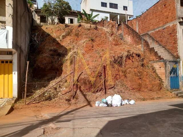 #595 - Área para Venda em Ipatinga - MG - 2