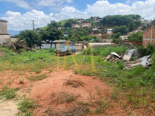 Terreno para Venda em Coronel Fabriciano - 4